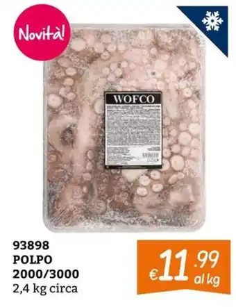 POLPO WOFCO