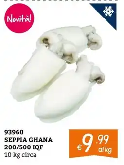 Zona SEPPIA GHANA offerta