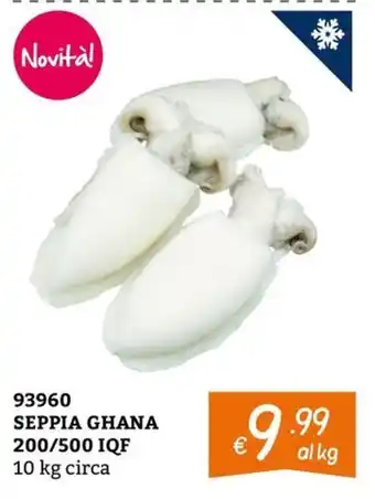 SEPPIA GHANA
