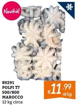 Zona Novità! POLPI T7 offerta
