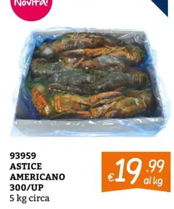 Zona ASTICE AMERICANO offerta