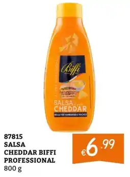 Zona Salsa Cheddar Biffi Professional offerta