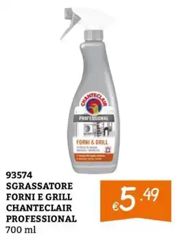 Zona Sgrassatore forni e grill Chanteclair Professional offerta