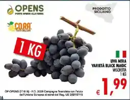 Deco Iperstore UVA NERA VARIETÀ BLACK MAGIC offerta