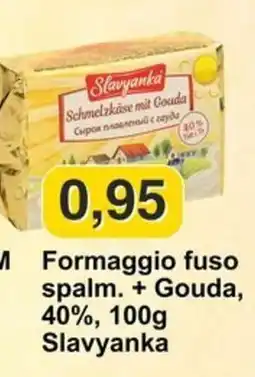 Mix Markt Formaggio fuso spalm. + Gouda, 40%, 100g Slavyanka offerta