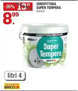 Brico OK Super Tempera BRICOOK offerta