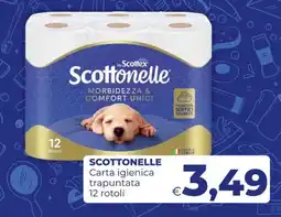 Pilato Scottonelle Carta igienica trapuntata offerta