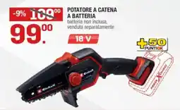 Brico OK Potatore a catena a batteria Einhell offerta