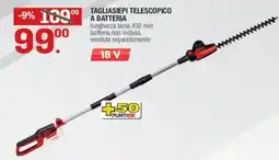 Brico OK Tagliasiepi telesopico a batteria offerta