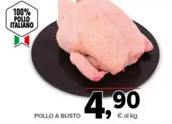 Todis POLLO A BUSTO offerta