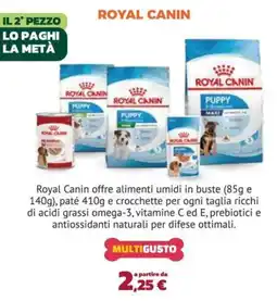 Joe Zampetti Royal Canin offerta