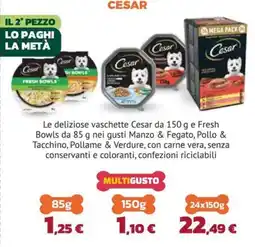 Joe Zampetti Cesar offerta