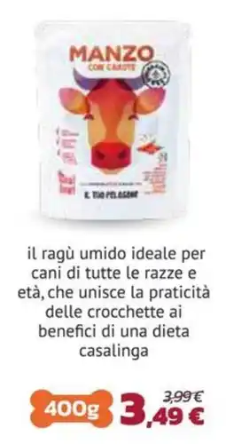 Joe Zampetti MANZO CON CAROTE offerta