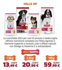 Joe Zampetti Hills SP offerta
