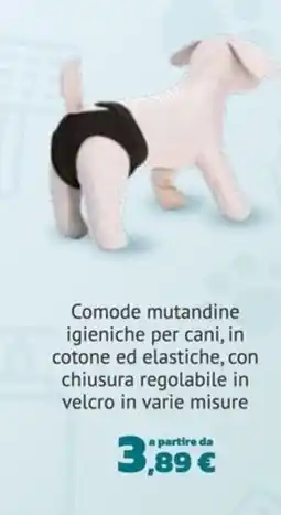 Joe Zampetti Comode mutandine igieniche per cani offerta