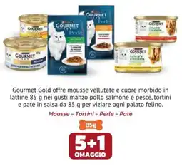 Joe Zampetti Gourmet Gold offerta