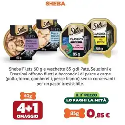 Joe Zampetti Sheba Filets offerta