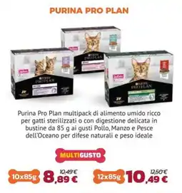 Joe Zampetti Purina Pro Plan offerta