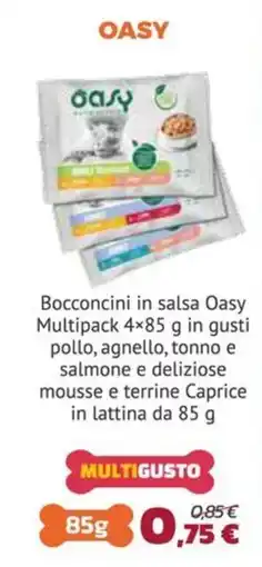 Joe Zampetti Bocconcini in salsa Oasy offerta