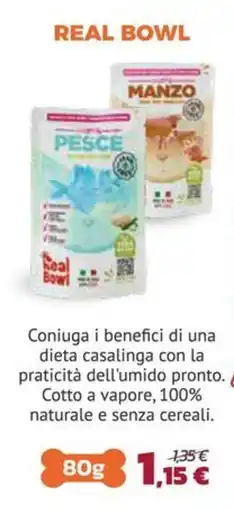 Joe Zampetti Real Bowl Pesce offerta