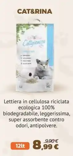 Joe Zampetti CAT&RINA Cattigienica offerta
