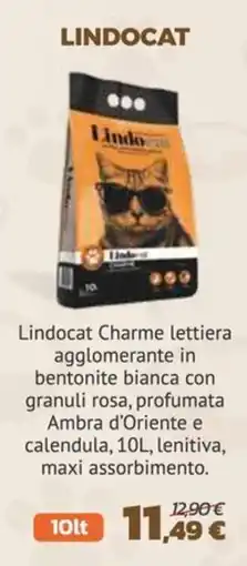 Joe Zampetti Lindocat Charme lettiera offerta