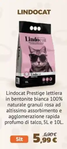 Joe Zampetti Lindocat Prestige lettiera offerta