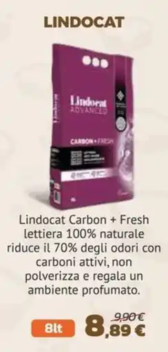 Joe Zampetti Lindocat Carbon + Fresh offerta