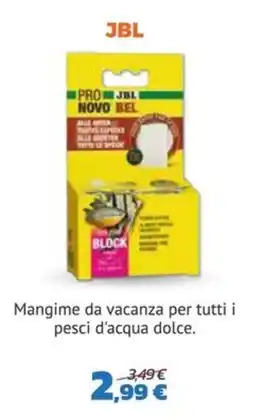 Joe Zampetti JBL PRO NOVO BEL BLOCK offerta
