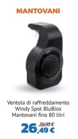 Joe Zampetti Ventola di raffreddamento Windy Spot BluBios Mantovani offerta