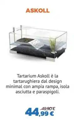 Joe Zampetti Tartarium Askoll offerta