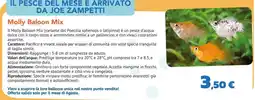 Joe Zampetti Molly Balloon Mix offerta