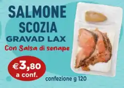 Giorgio Mare Salmone Scozia Gravad Lax offerta