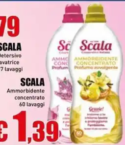 Casalandia Ammorbidente concentrato Scala offerta