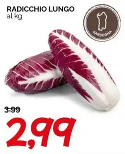 Hardis RADICCHIO LUNGO offerta