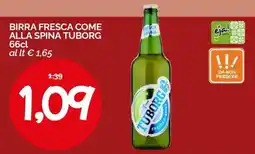 Hardis Birra fresca come alla spina Tuborg offerta