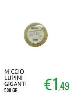 Sugros Miccio Lupini Giganti offerta