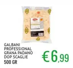 Sugros GALBANI PROFESSIONAL GRANA PADANO DOP SCAGLIE offerta