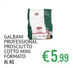Sugros GALBANI PROFESSIONAL PROSCIUTTO COTTO MINI offerta