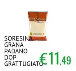Sugros SORESINA GRANA PADANO DOP GRATTUGIATO offerta