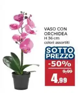 Happy Casa VASO CON ORCHIDEA offerta