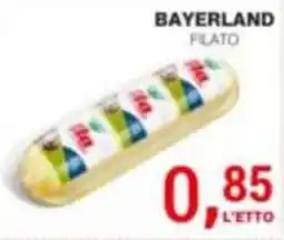 Supermercati Spesa Mia BAYERLAND FILATO offerta