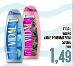 Al Discount Vidal Bagno offerta