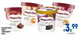 DEM HAAGEN DAZS PINTA "VARI GUSTI" offerta