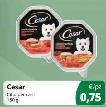 Cesar Cibo per cani