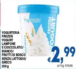DEM Yogurteria Frozen Yogurt offerta