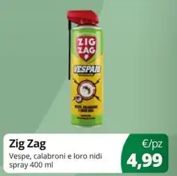 Acqua & Sapone Zig Zag Vespe, calabroni e loro nidi offerta