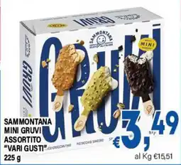 DEM Sammontana Mini Gruvi Assortito offerta