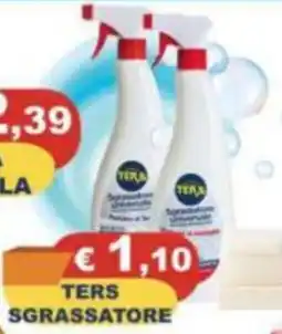 Magazzini del Risparmio TERS SGRASSATORE offerta