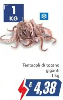 Italy Cash Tentacoli di totano giganti offerta